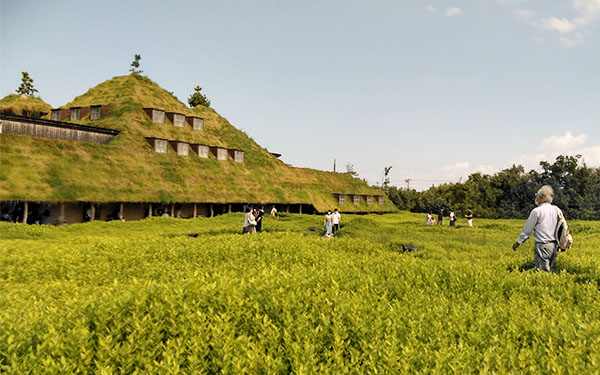 ラコリーナ 草屋根へのアプローチ .jpg