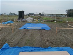 遣り方全景2.jpg