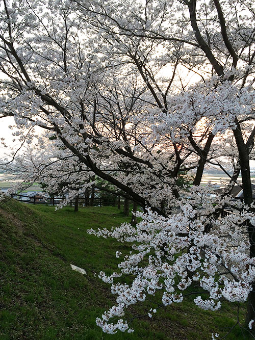 140409_能登川Ｋ3.jpg
