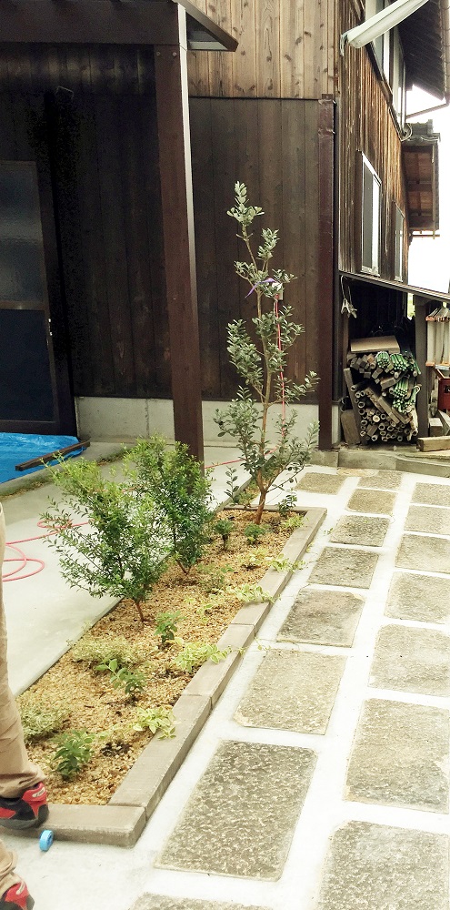 20170922 (8).JPG